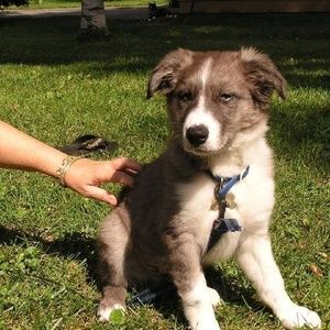 Meet your Posher, Linda